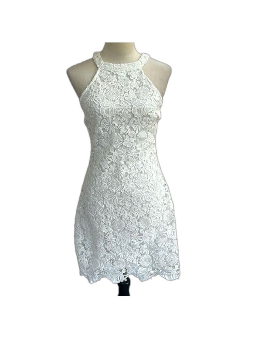 Lulus: Love Poem Lace Mini Dress: Size M